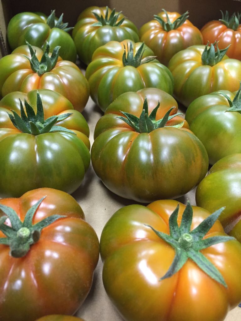 tomate ecológico de Almería