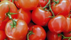 Potente antioxidante descubierto en el tomate