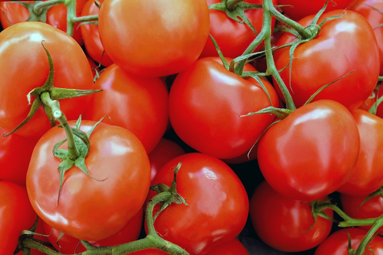 Potente antioxidante descubierto en el tomate