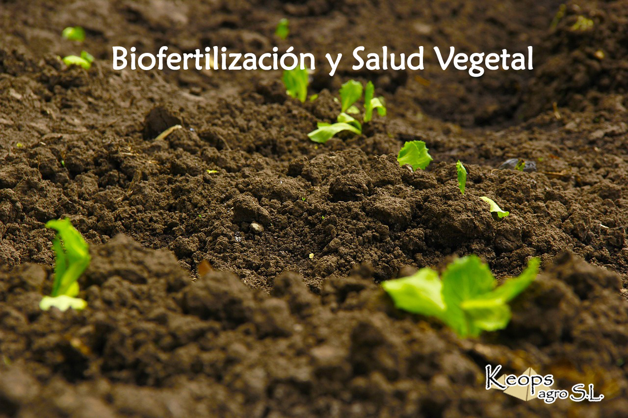 Biofertilización y salud vegetal, suelos orgánicos