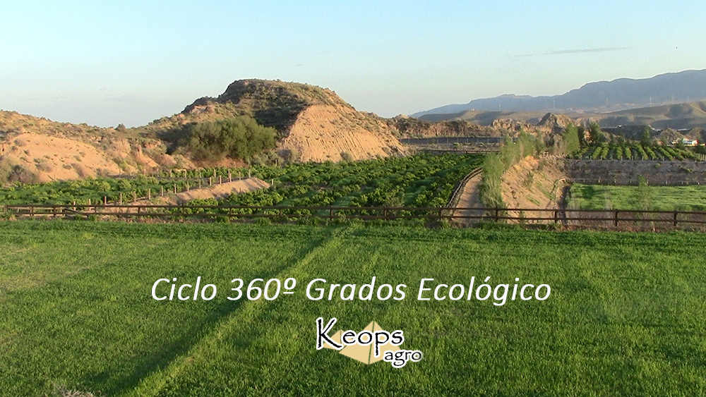 bioagricultura en keops agro, ciudado y salud vegetal, cultivos de productos ecológicos para una alimentación respetuosa con el medio